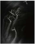 20091006lightningfield.jpg