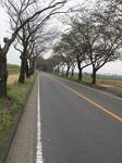 20091024海軍道路s-.jpg