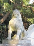 20101129聖教殿狛犬s-.jpg