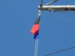 20110201z旗s-.jpg