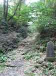 20110809蔦の細道1s-.jpg