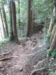 20110809蔦の細道2s-.jpg