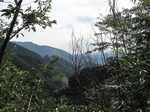 20110809蔦の細道3s-.jpg