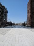 20120321御幸通りs-.jpg