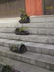 20120410伝法院結界s-.jpg