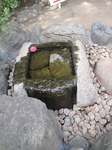 20120410伝法院蹲s-.jpg