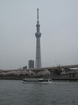 20120410隅田川とスカイツリーs-.jpg
