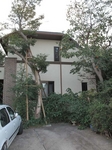 20121024杉本そよ美術館外観2s-.jpg