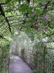 20131001百花園2s-.jpg