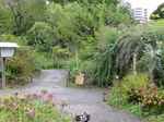 20131001百花園5s.jpg