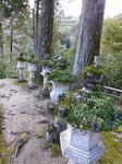 20131212西明寺灯篭s- .jpg